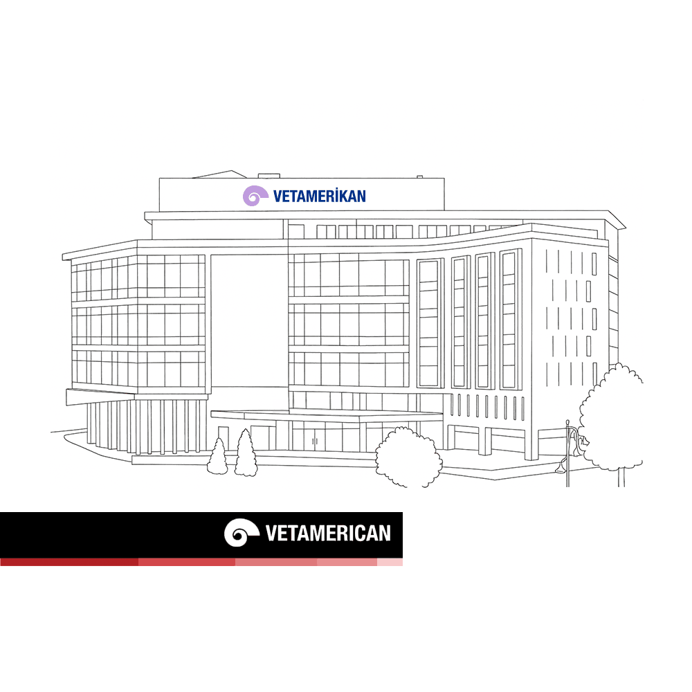 VetAmerican Pet Hospital